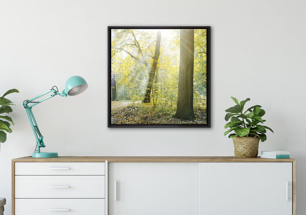 Sonnenstrahlen auf Waldlichtung auf Leinwandbild gerahmt Quadratisch verschiedene Größen im Wohnzimmer