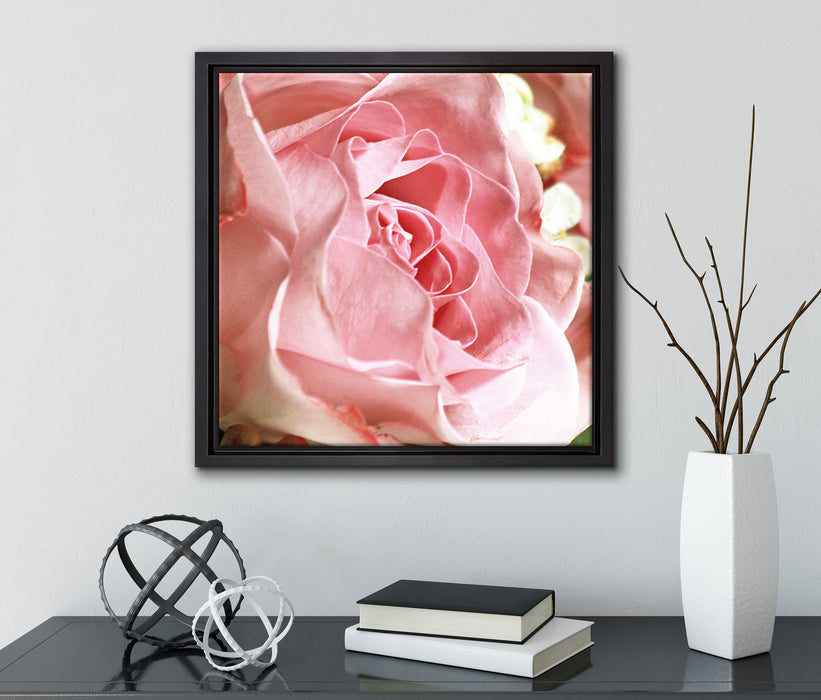 Rosa Rose  auf Leinwandbild Quadratisch gerahmt mit Kirschblüten