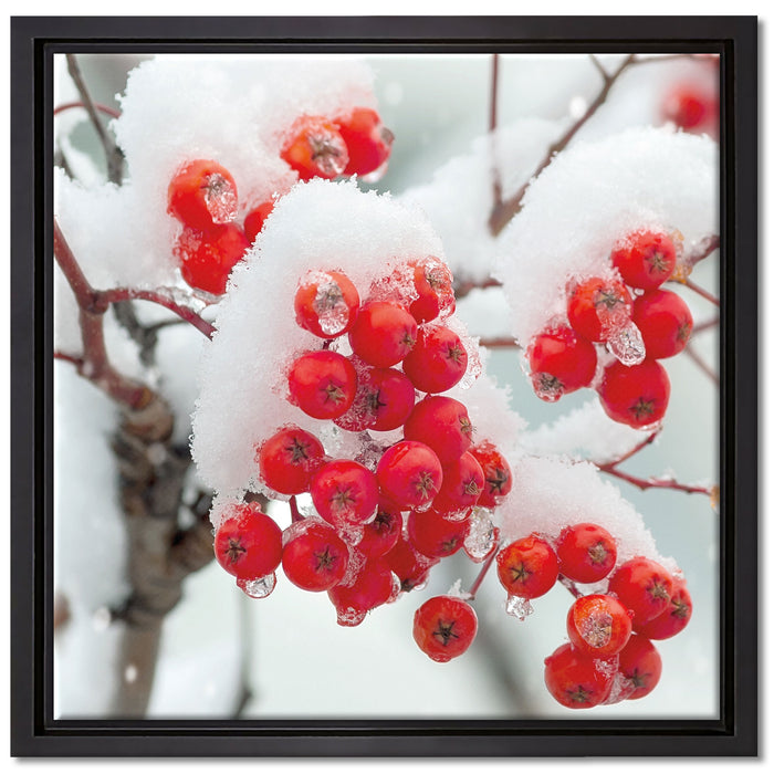 Gefrorene Äste auf Leinwandbild Quadratisch gerahmt Größe 40x40