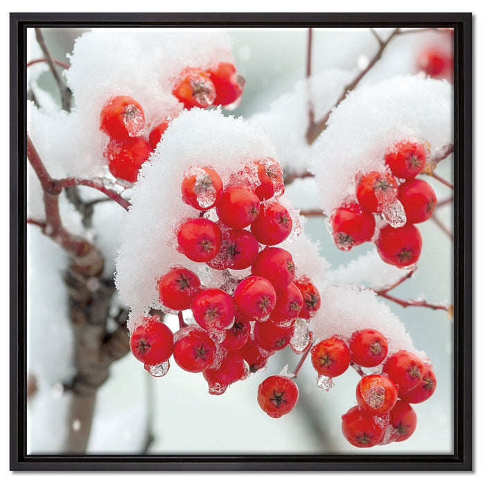 Gefrorene Äste auf Leinwandbild Quadratisch gerahmt Größe 60x60