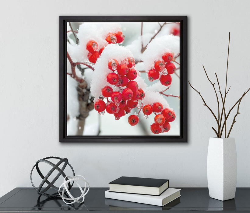 Gefrorene Äste  auf Leinwandbild Quadratisch gerahmt mit Kirschblüten