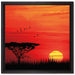 Roter Sonnenuntergang in Afrika auf Leinwandbild Quadratisch gerahmt Größe 40x40
