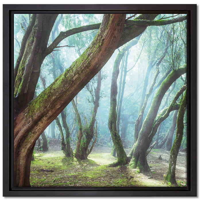 Wald auf Leinwandbild Quadratisch gerahmt Größe 40x40