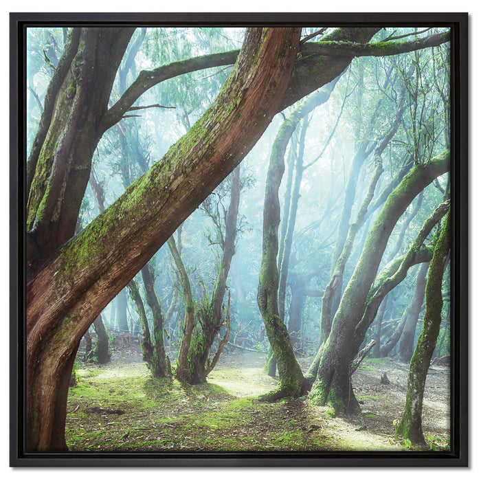 Wald auf Leinwandbild Quadratisch gerahmt Größe 60x60