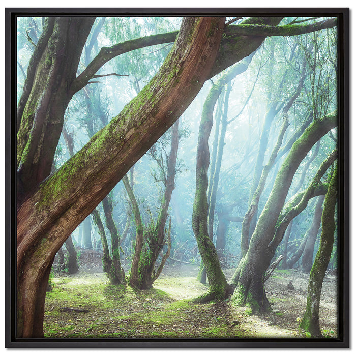 Wald auf Leinwandbild Quadratisch gerahmt Größe 70x70