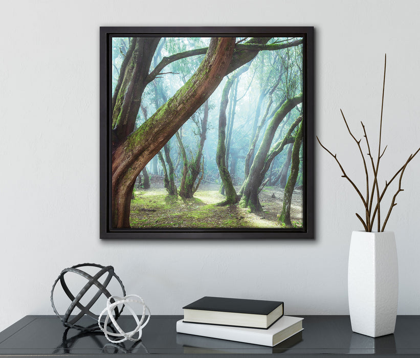Wald  auf Leinwandbild Quadratisch gerahmt mit Kirschblüten