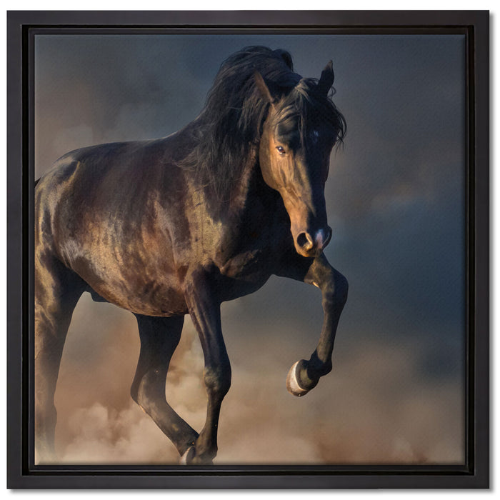 Schwarzes Pferd auf Leinwandbild Quadratisch gerahmt Größe 40x40