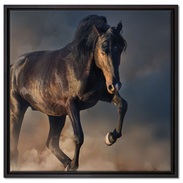 Schwarzes Pferd auf Leinwandbild Quadratisch gerahmt Größe 60x60