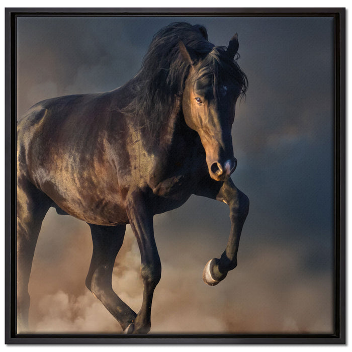 Schwarzes Pferd auf Leinwandbild Quadratisch gerahmt Größe 70x70