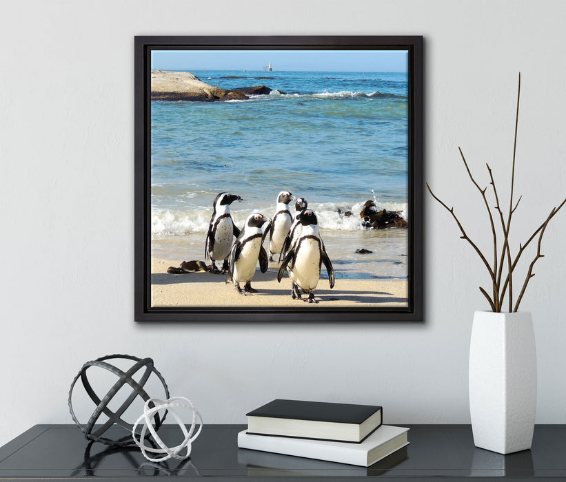 Pinguine am Strand  auf Leinwandbild Quadratisch gerahmt mit Kirschblüten