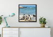 Pinguine am Strand auf Leinwandbild gerahmt Quadratisch verschiedene Größen im Wohnzimmer