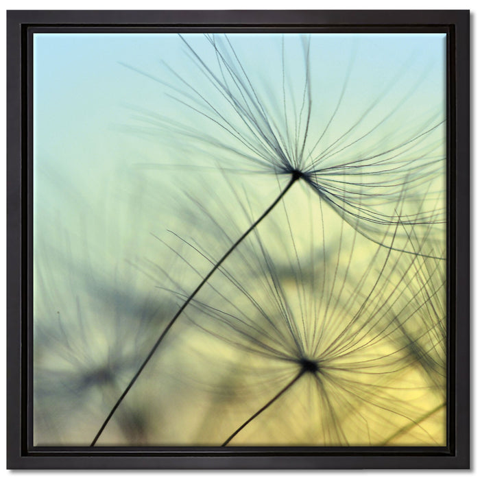 Pusteblumen mit Tautropfen auf Leinwandbild Quadratisch gerahmt Größe 40x40