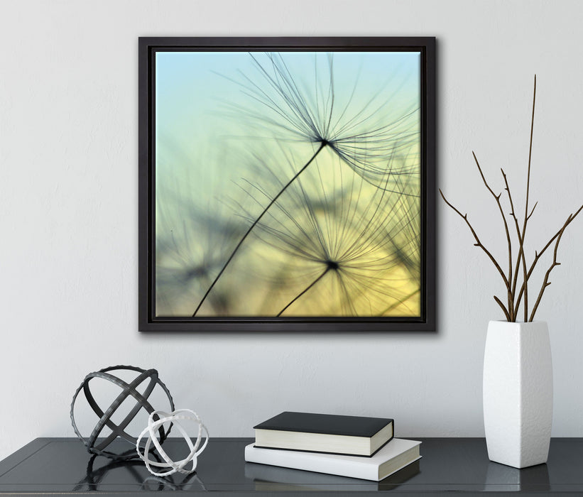 Pusteblumen mit Tautropfen  auf Leinwandbild Quadratisch gerahmt mit Kirschblüten