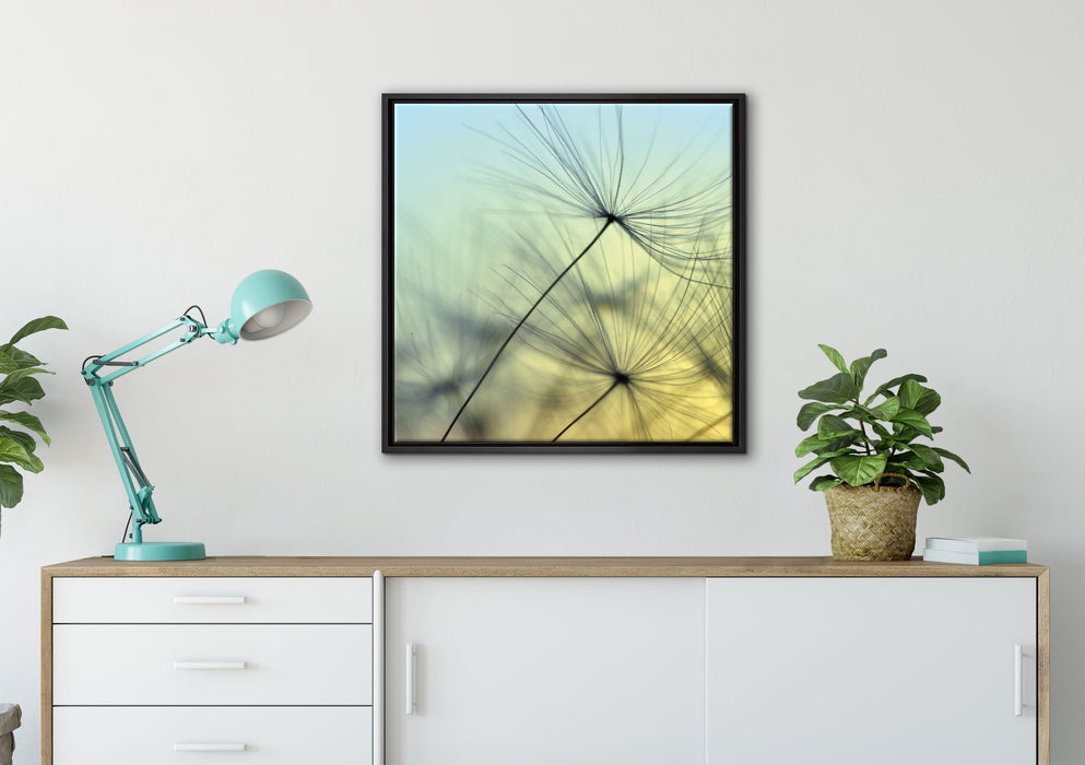 Pusteblumen mit Tautropfen auf Leinwandbild gerahmt Quadratisch verschiedene Größen im Wohnzimmer