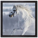 Weißes Pferd auf Schneewiese auf Leinwandbild Quadratisch gerahmt Größe 40x40