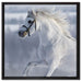 Weißes Pferd auf Schneewiese auf Leinwandbild Quadratisch gerahmt Größe 60x60