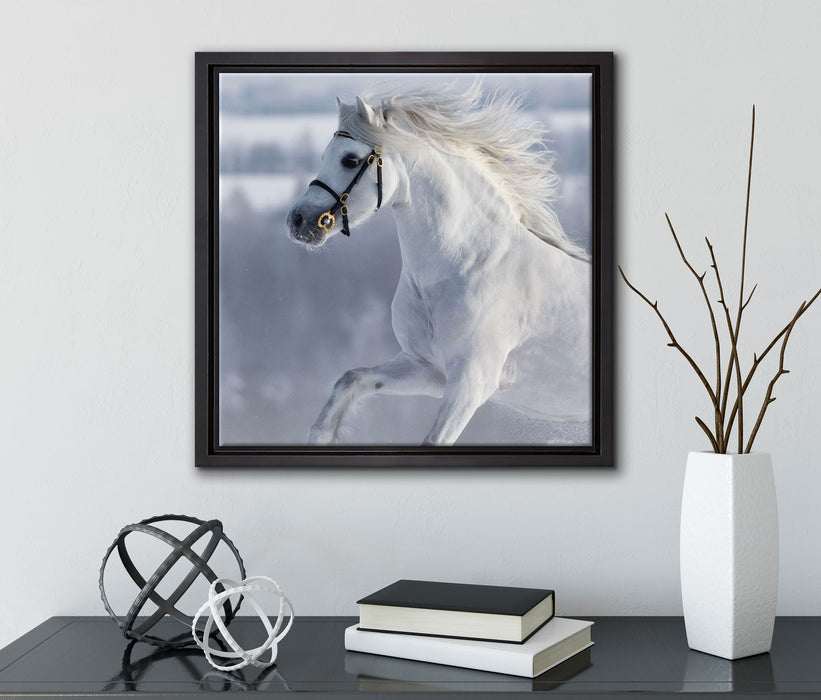Weißes Pferd auf Schneewiese  auf Leinwandbild Quadratisch gerahmt mit Kirschblüten