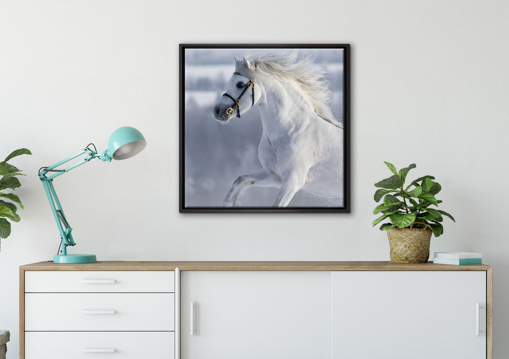 Weißes Pferd auf Schneewiese auf Leinwandbild gerahmt Quadratisch verschiedene Größen im Wohnzimmer