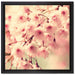 Kirschblüten auf Leinwandbild Quadratisch gerahmt Größe 40x40