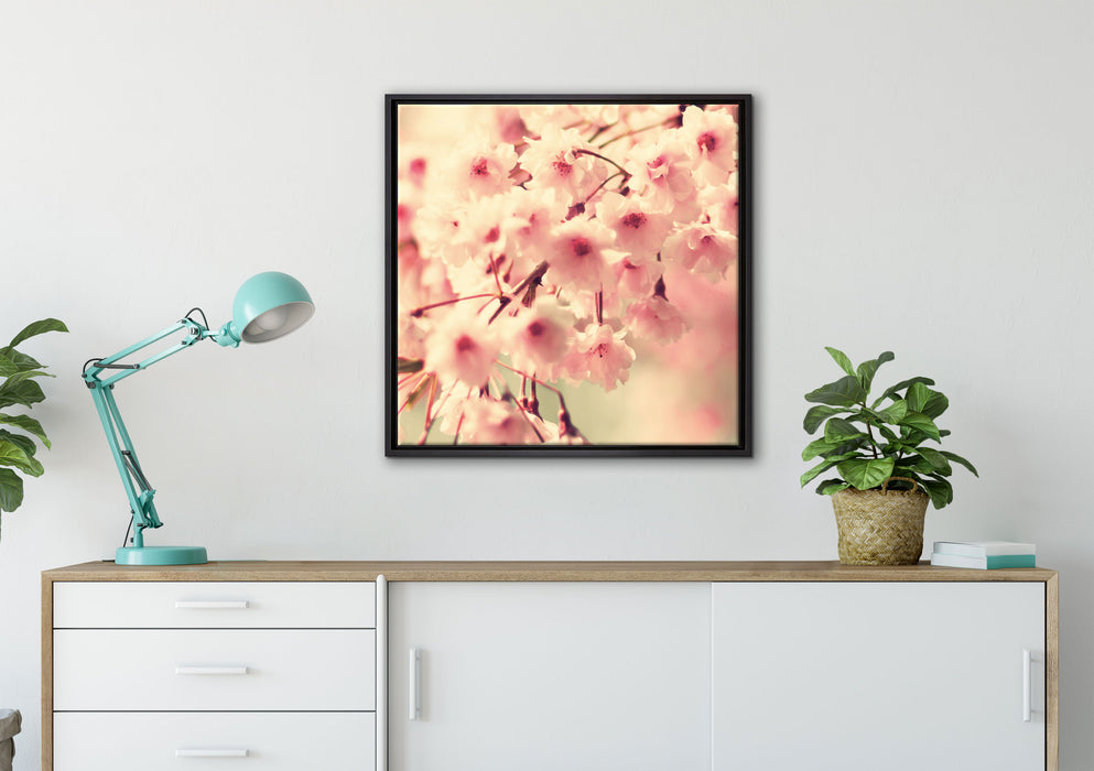 Kirschblüten auf Leinwandbild gerahmt Quadratisch verschiedene Größen im Wohnzimmer