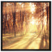 Baumallee im Herbst auf Leinwandbild Quadratisch gerahmt Größe 70x70