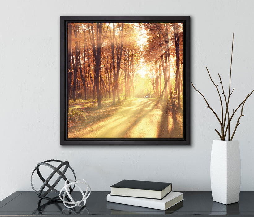 Baumallee im Herbst  auf Leinwandbild Quadratisch gerahmt mit Kirschblüten