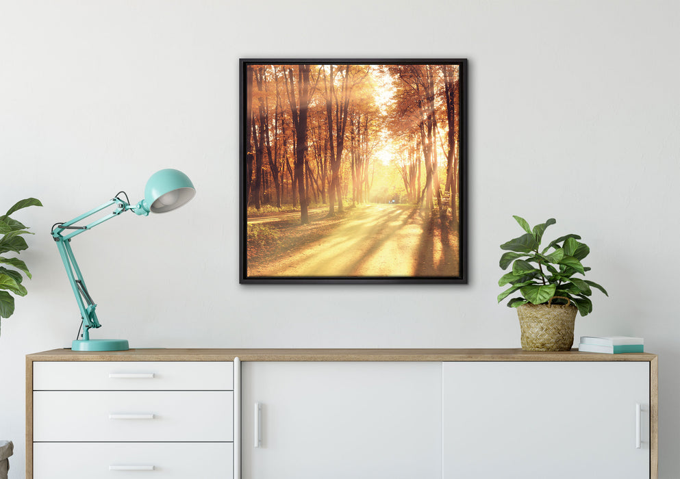 Baumallee im Herbst auf Leinwandbild gerahmt Quadratisch verschiedene Größen im Wohnzimmer