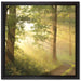 Waldweg auf Leinwandbild Quadratisch gerahmt Größe 40x40