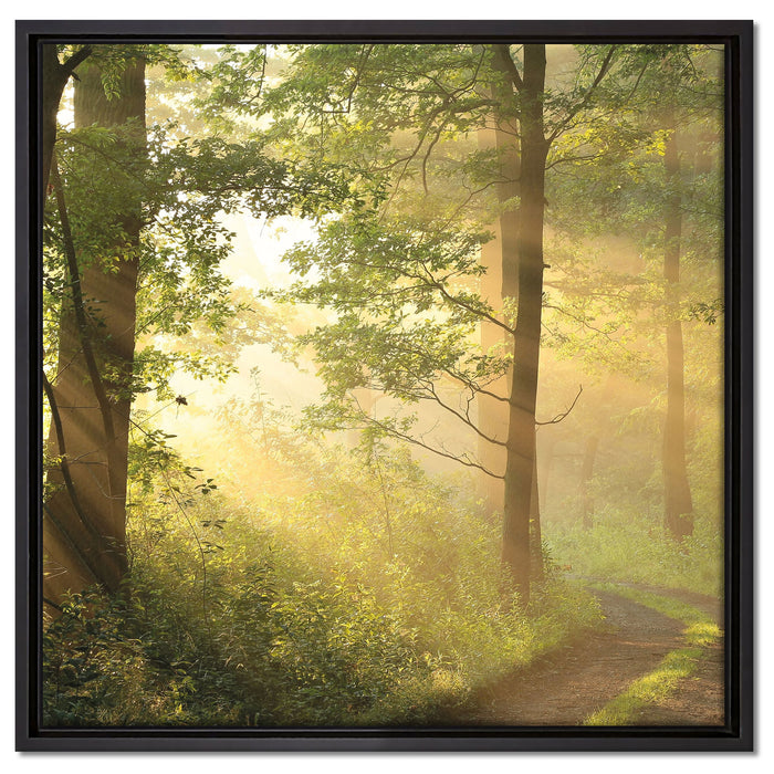 Waldweg auf Leinwandbild Quadratisch gerahmt Größe 60x60