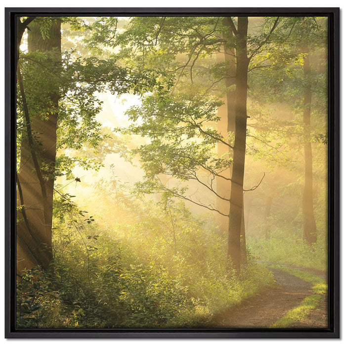 Waldweg auf Leinwandbild Quadratisch gerahmt Größe 70x70