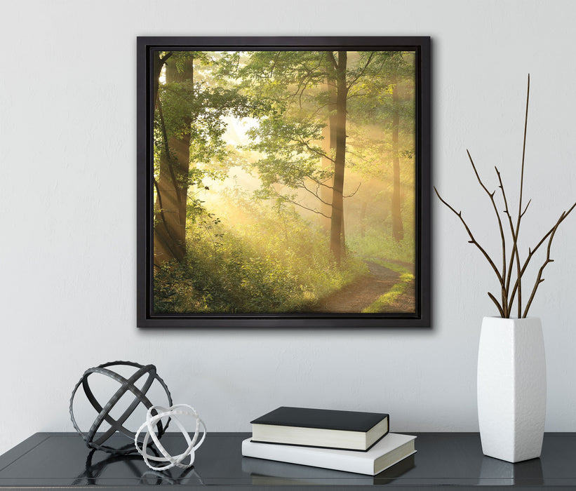 Waldweg  auf Leinwandbild Quadratisch gerahmt mit Kirschblüten