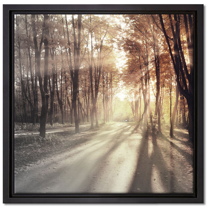 Allee im Herbstlicht auf Leinwandbild Quadratisch gerahmt Größe 40x40