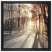 Allee im Herbstlicht auf Leinwandbild Quadratisch gerahmt Größe 40x40