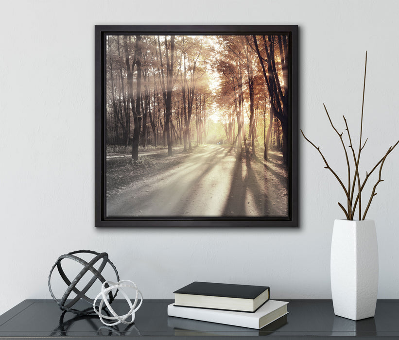 Allee im Herbstlicht  auf Leinwandbild Quadratisch gerahmt mit Kirschblüten