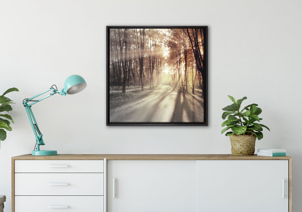 Allee im Herbstlicht auf Leinwandbild gerahmt Quadratisch verschiedene Größen im Wohnzimmer