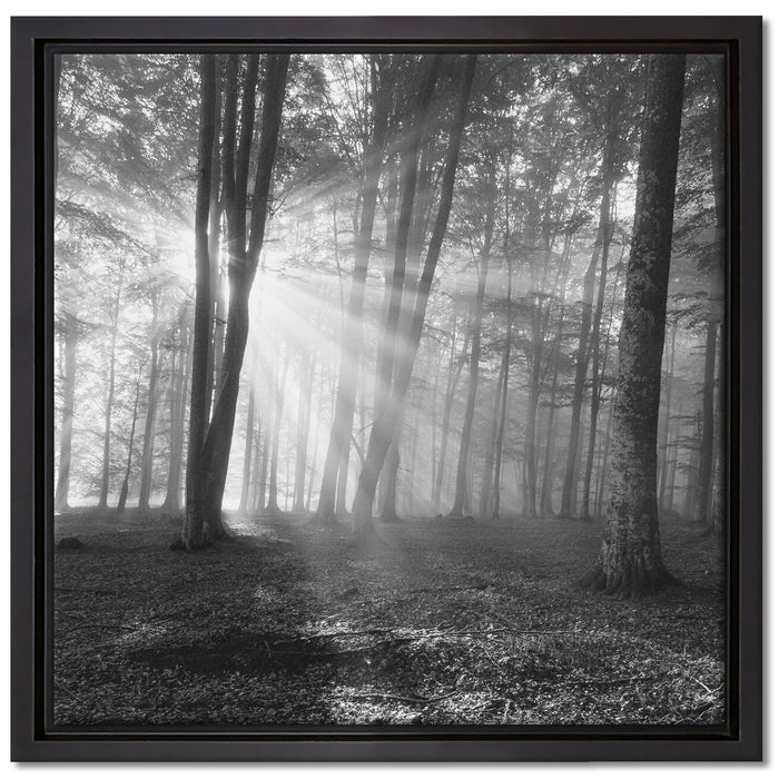 Wald mit Sonnenstrahlen auf Leinwandbild Quadratisch gerahmt Größe 40x40