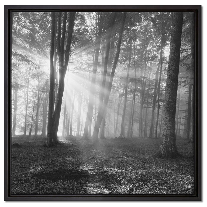 Wald mit Sonnenstrahlen auf Leinwandbild Quadratisch gerahmt Größe 60x60
