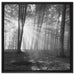 Wald mit Sonnenstrahlen auf Leinwandbild Quadratisch gerahmt Größe 60x60
