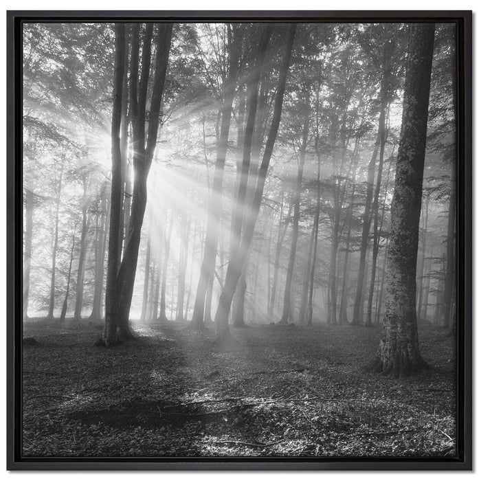 Wald mit Sonnenstrahlen auf Leinwandbild Quadratisch gerahmt Größe 70x70
