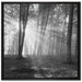 Wald mit Sonnenstrahlen auf Leinwandbild Quadratisch gerahmt Größe 70x70
