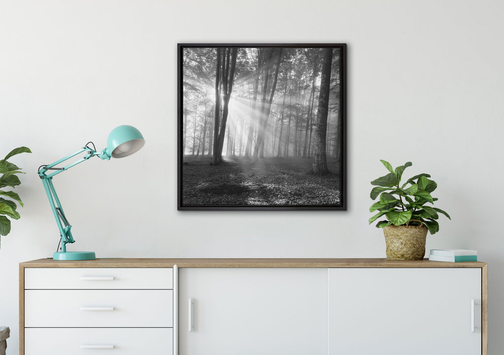 Wald mit Sonnenstrahlen auf Leinwandbild gerahmt Quadratisch verschiedene Größen im Wohnzimmer