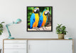 Zwei Papageien auf Leinwandbild gerahmt Quadratisch verschiedene Größen im Wohnzimmer
