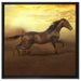 Rennendes Wildpferd auf Leinwandbild Quadratisch gerahmt Größe 60x60