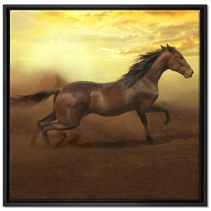 Rennendes Wildpferd auf Leinwandbild Quadratisch gerahmt Größe 70x70