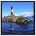 Leuchtturm mit Robben auf Leinwandbild Quadratisch gerahmt Größe 60x60