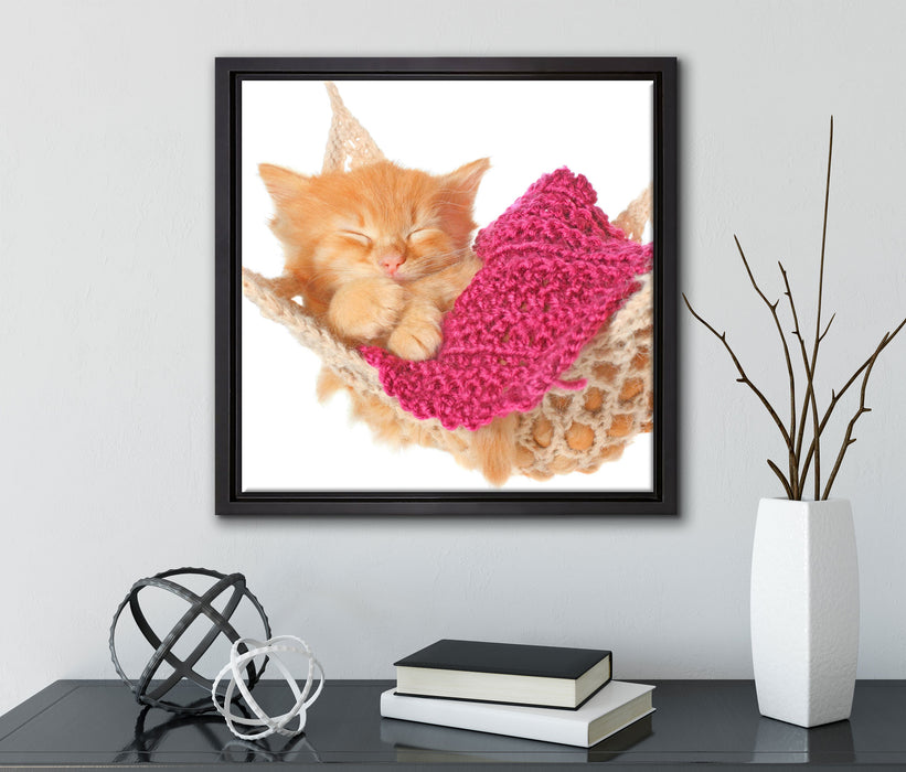 Katzenbaby in Hängematte  auf Leinwandbild Quadratisch gerahmt mit Kirschblüten