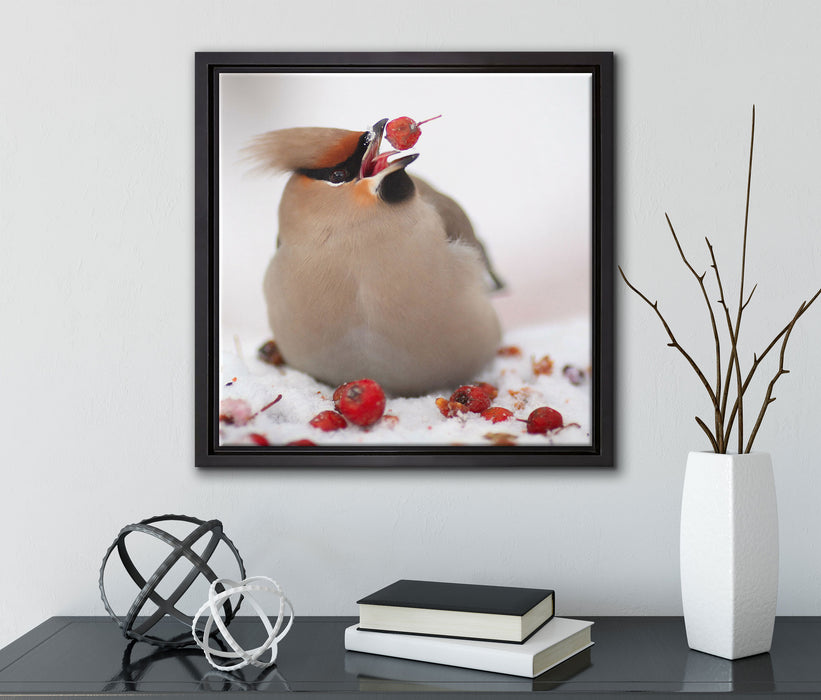 Kleiner Vogel im Schnee  auf Leinwandbild Quadratisch gerahmt mit Kirschblüten