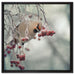 Kleiner Vogel im Vogelbeerbaum auf Leinwandbild Quadratisch gerahmt Größe 60x60