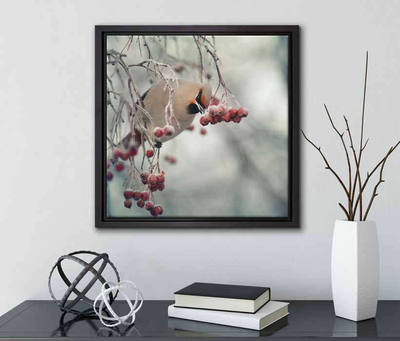 Kleiner Vogel im Vogelbeerbaum  auf Leinwandbild Quadratisch gerahmt mit Kirschblüten