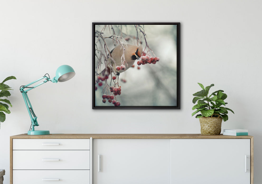 Kleiner Vogel im Vogelbeerbaum auf Leinwandbild gerahmt Quadratisch verschiedene Größen im Wohnzimmer